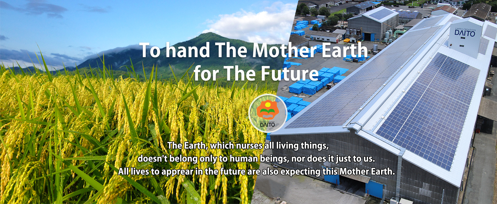 To hand The Mother Earth for The Future